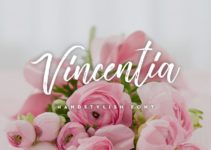 Vincentia Script Font