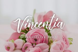 Vincentia Script Font
