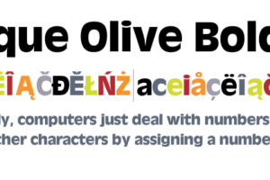Antique Olive Bold Font Family