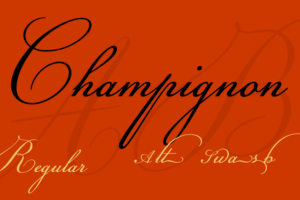 Champignon Font Family