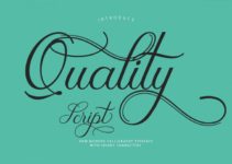 Quality Script Font