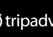 TripAdvisor Logo Font