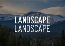 Alpha Font Family