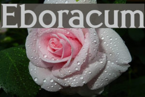 Eboracum Font