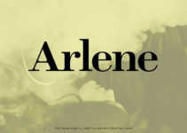 Arlene Font Family