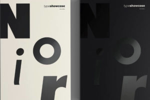 Noir Typeface Font