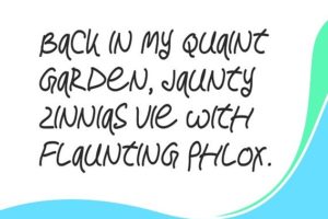 Rantox Typeface Font