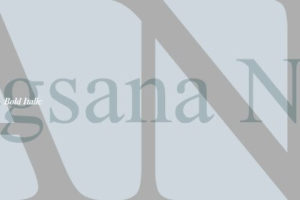 Angsana New Font Family