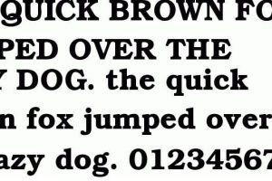 Bookman Font
