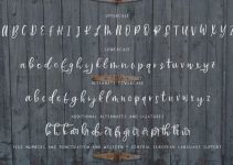 Farmhouse Country Rustic Script Font Family