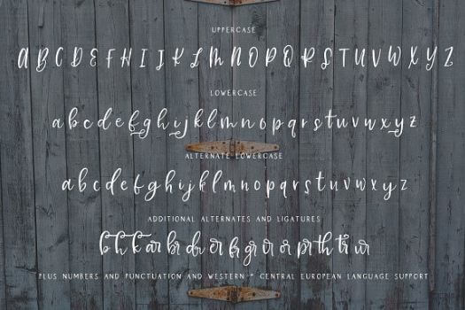 Farmhouse Country Rustic Script Font