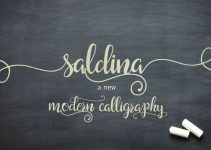 Saldina Font