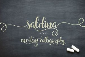 Saldina Font