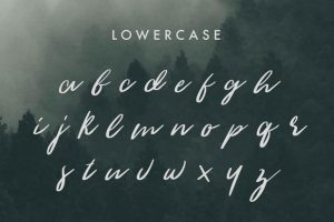 The Woodlands Font