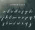 The Woodlands Font