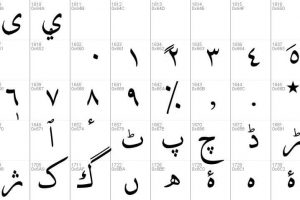 DecoType Naskh Variants Font