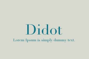 Didot Font