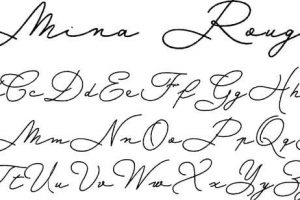 Mina Rough Font