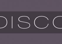 Disco Font