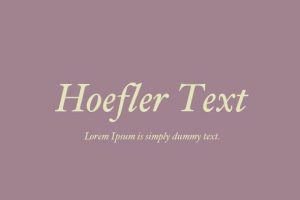 Hoefler Text Font Family