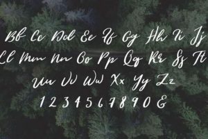 Wild Youth Font