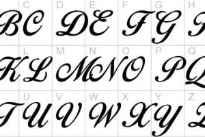 Birds of Paradise Font