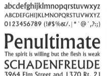 Albertus Medium Font