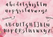 Princess Ivy Script Font