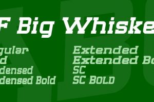 SF Big Whiskey Font Family