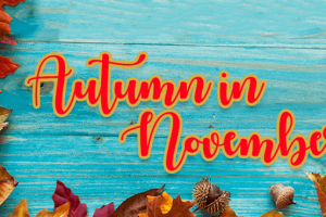 Autumn in November Font