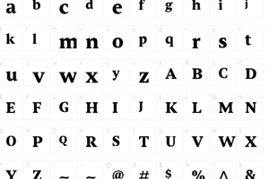 Torrent W03 Bold Font