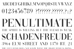 Vogue Font