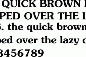 Southern Bold Font