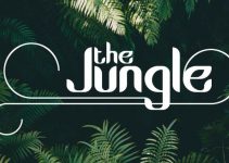 Jungle Font Family