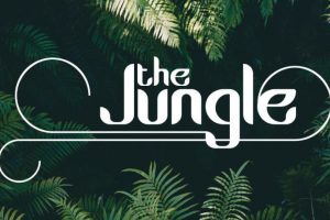 Jungle Font Family